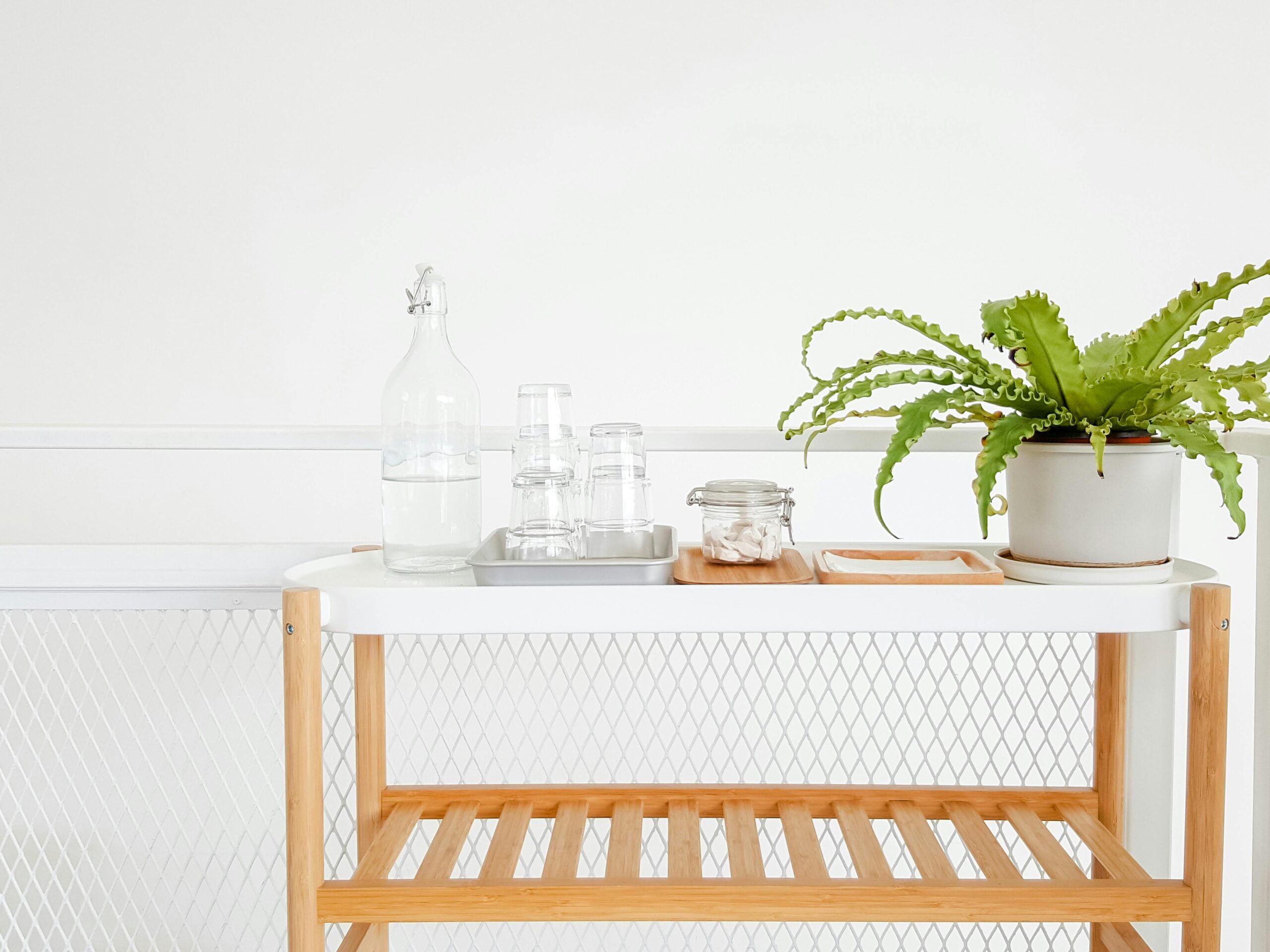 A stylish and modern beverage stand featuring a plant and water bottle in a clean indoor setting.